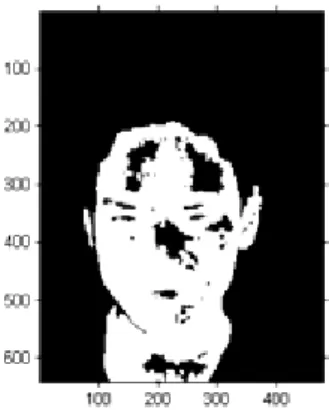 Gambar 8. Gambar T openg Hasil Proses Morfologi  Proses morfologi tidak akan menghilangkan seluruh  noise yang terdapat dari gambar topeng