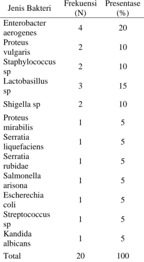 Tabel 4. Distribusi sampel berdasarkan  jenis bakteri 