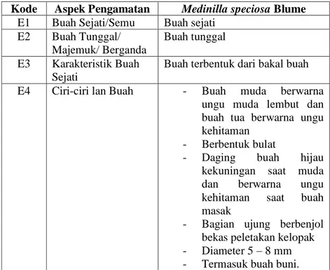 Tabel 4.6 Karakteristik Morfologi Buah 