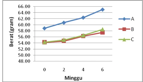 Gambar 1. Grafik Berat Rata-rata Abalone Selama Pemeliharaan 