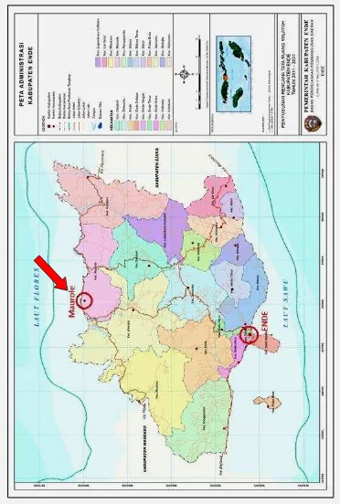 Gambar 3.2 Peta Administrasi Kabupaten Ende dan Lokasi Maurole Sumber: Bappeda, 2011 (dimodifikasi) 