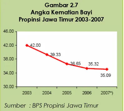 Gambar 2.7Angka Kematian Bayi