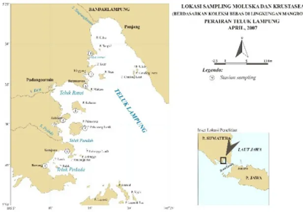 Gambar 1.  Lokasi Penelitian di Teluk Lampung (Pratiwi  2010). 