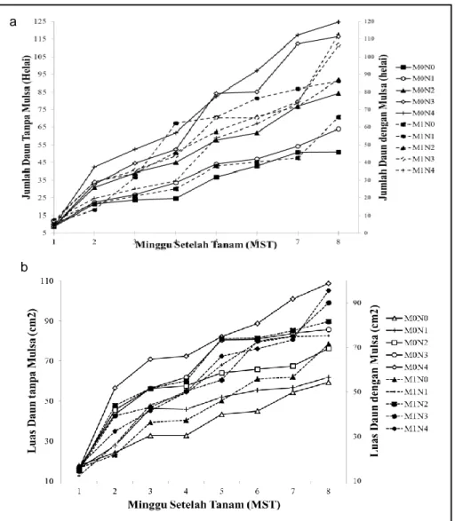 Gambar 1 Grafik Pertumbuhan Tanaman Iler dengan Penambahan Dosis Nitrogen pada  Penggunaan Mulsa dan Tanpa Mulsa 