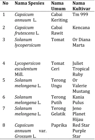 Tabel 1. Benih sayur dari 8 (delapan) spesies  anggota Solanaceae 