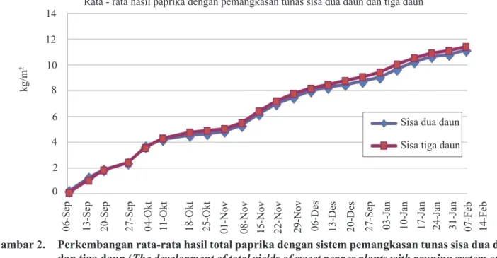 Gambar 2.   Perkembangan rata-rata hasil total paprika dengan sistem pemangkasan tunas sisa dua daun  dan tiga daun ( The development of total yields of sweet pepper plants with pruning system of two  and three leaves remaining)