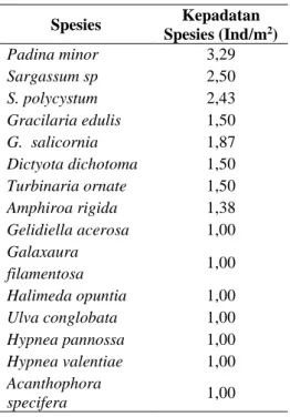 Tabel 2. Kepadatan rata-rata spesies  makro alga berdasarkan Individu 