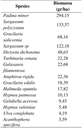 Tabel 4. Besar populasi makro alga  berdasarkan individu 