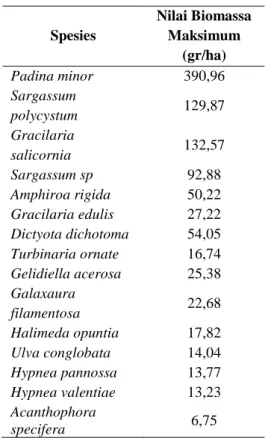 Tabel  6.  Biomassa  maksimum  pada  perairan Desa Wakal 