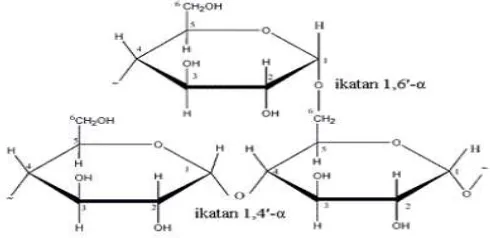 Gambar 12. Struktur Kimia Amilopektin 