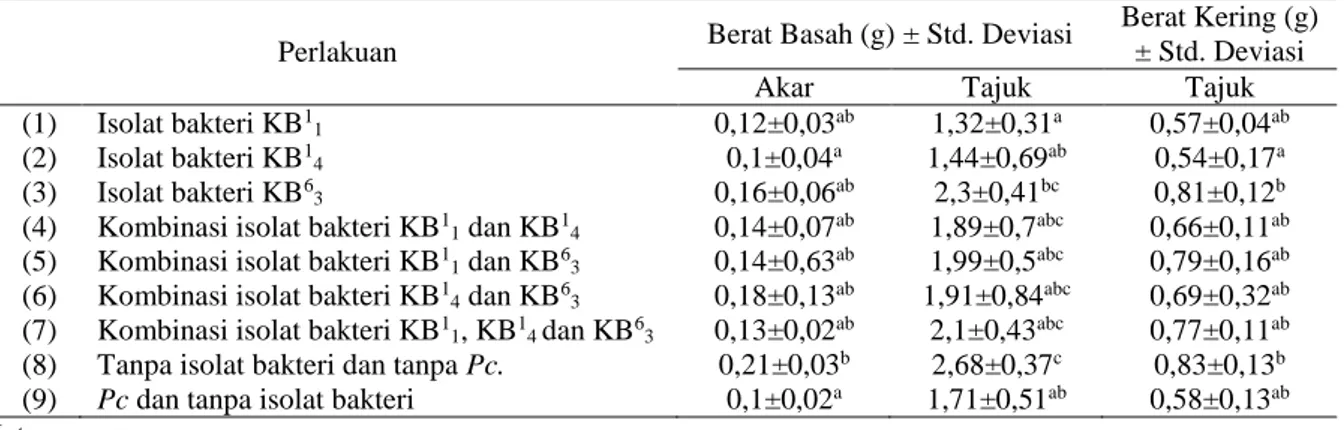 Tabel 3. Pengaruh kombinasi bakteri endofit terhadap rata-rata berat basah akar, berat basah tajuk dan berat  kering tajuk bibit tanaman C