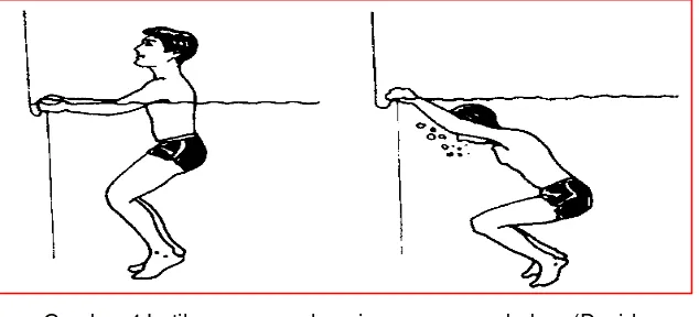 Gambar 4 Latihan pengenalan air renang gaya bebas (David       .          