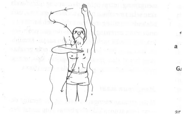 Gambar 12: Daya dorong pertama dari kayuhan tangan, dilihat dari depan (a) dan dari samping (b) (David G