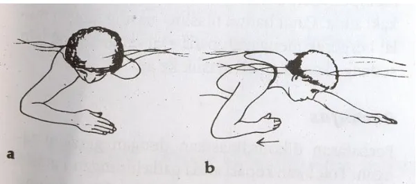 Gambar 13: Tampak muka (a) dan samping (b) dari daya dorong yang dihasilkan oleh seluruh lengan  ( David G