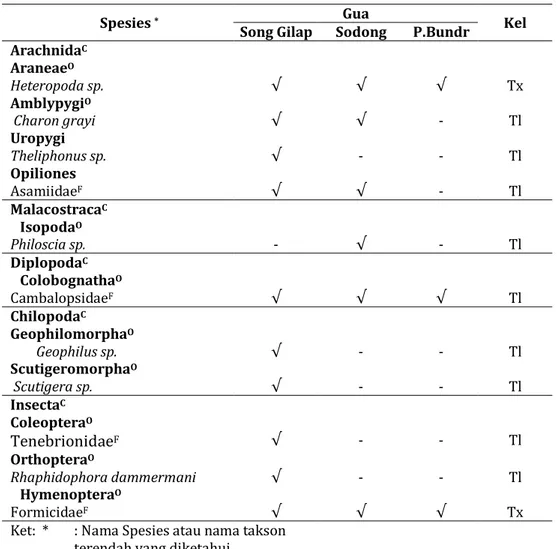Tabel 2. Arthropoda di gua-gua Wonogiri 