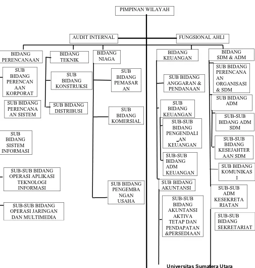 Gambar struktur organisasi PT. PLN Wilayah II Sumut adalah sebagai berikut : 