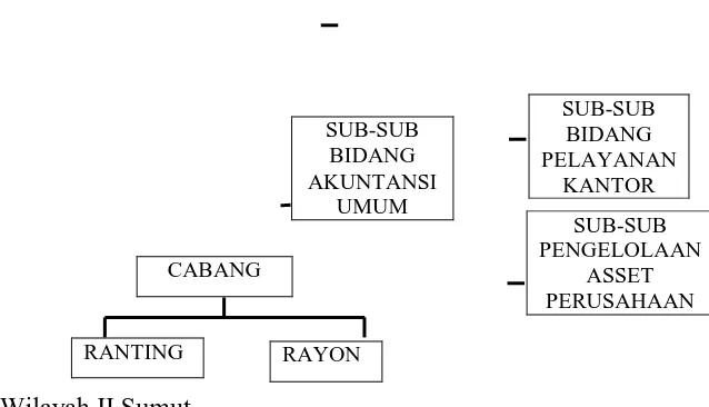 Gambar 3.1 Struktur Organisasi PT. PLN (Persero) Wilayah II Sumut   