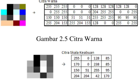 Gambar 2.5 Citra Warna 