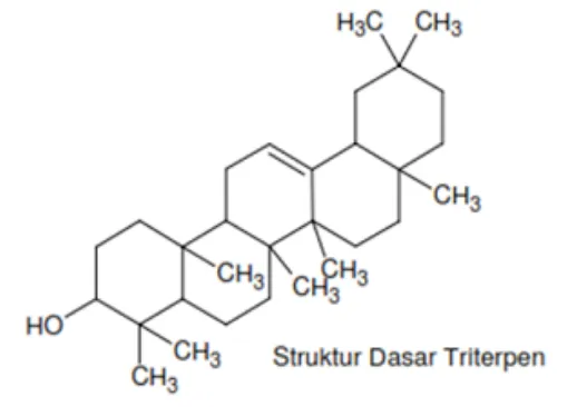 Gambar 7. Struktur Dasar Triterpenoid