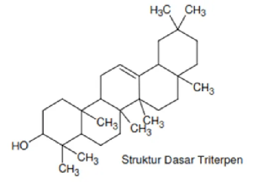 Gambar 7. Struktur Dasar Triterpenoid