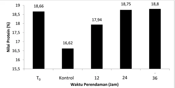 Gambar 2. Grafik nilai protein pada ikan nila (Oreochromis sp.)  