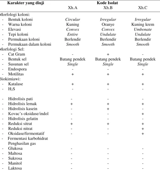 Tabel 2. Hasil uji karakter fenotipik isolat bakteri penghasil biogum yang diisolasi dari daun Kembang Kol  