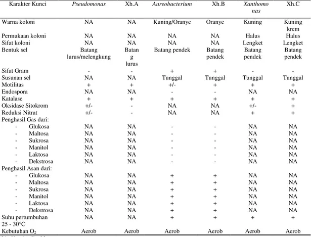 Tabel 3. Hasil profile matching isolat bakteri penghasil biogum dengan beberapa genus yang telah 
