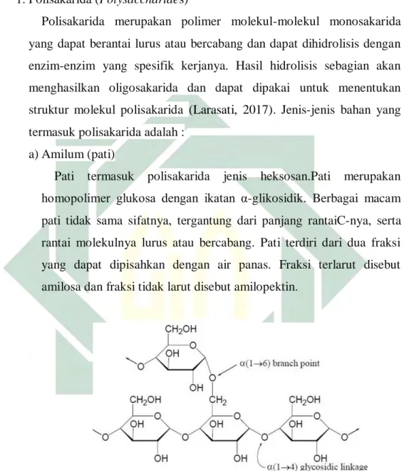 Gambar 2.4 Struktur Molekul Amilopektin 