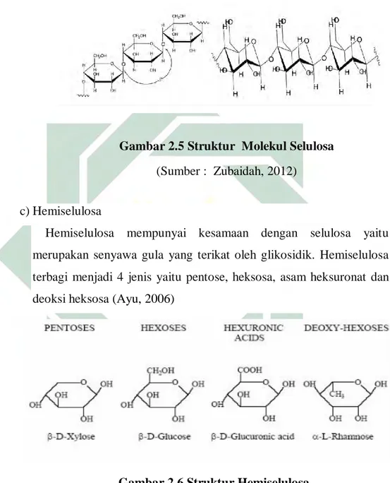 Gambar 2.5 Struktur  Molekul Selulosa 