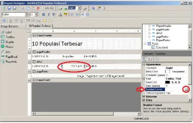 Gambar 3.10 Jendela Report Designer 