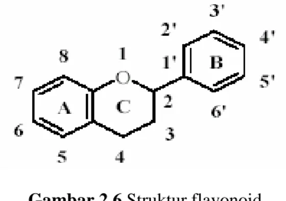 Gambar 2.5 Struktur kimia vitamin C