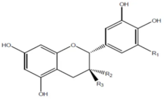 Gambar 2.7 Struktur flavon-3-ol