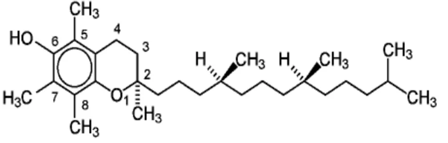 Gambar 2. 8 Struktur kimia polifenol