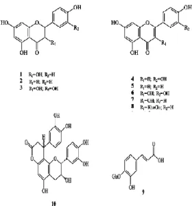 Gambar 1. Struktur kimia senyawa fenoli  1-10 (Brighente et al., 2007)  Alat dan Bahan 