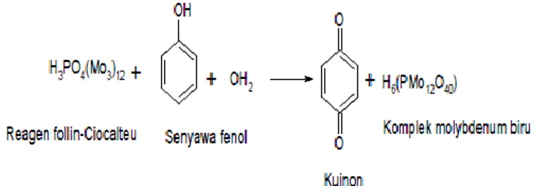 Gambar 2. Reaksi reagen Follin-Cioucalteu dengan senyawa fenol (Tursiman dkk, 2012) 