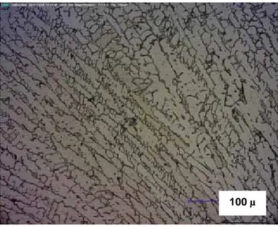 Gambar 10. Struktur mikro dendritik fase austenit pada pelat hasil rol bahan ingot   hasil peleburan SS 316L yang ditambah  unsur Ti dan Y