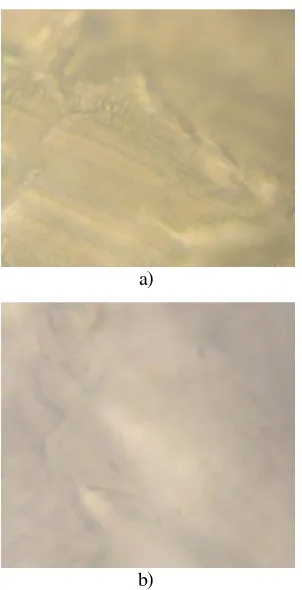 Gambar 6. Foto mikro perbesaran 150X UHMWPE pem-bebanan 2 kg pada Speed Control 100 a) sebelum dan b) sesudah pengujian kondisi Lubrication 