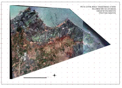 Gambar 4.1 Peta Citra Desa Tanjung Burung, Desa Tanjung Pasir dan Desa 