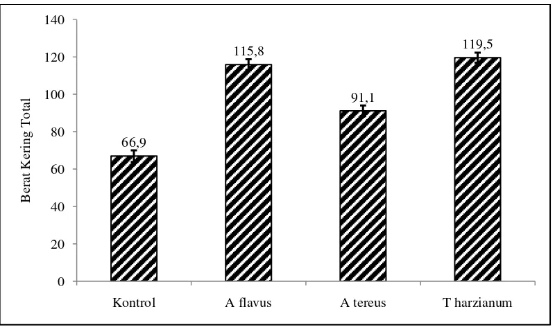 Gambar 7. Grafik  Berat Kering Total Bibit R. mucronata. 