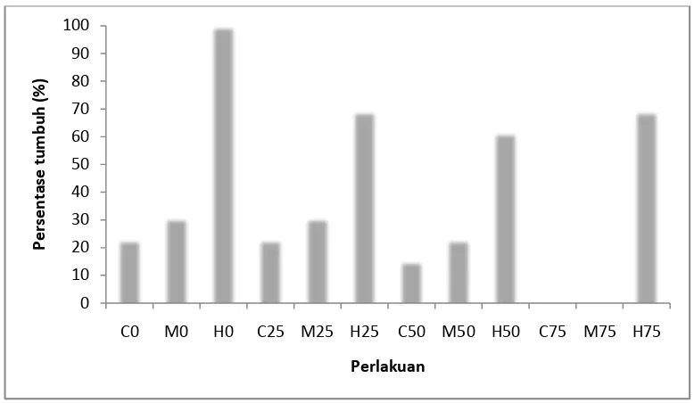 Gambar 1.   Hasil pengukuran persentase tumbuh semai tanaman S. alba pada umur 3  bulan