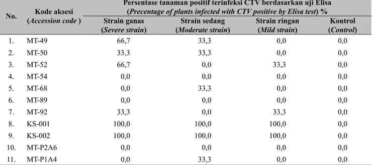 Tabel 4.   Hasil pengujian Elisa pada 11 aksesi yang diinokulasi tiga strain Citrus tristeza virus (CTV disease 