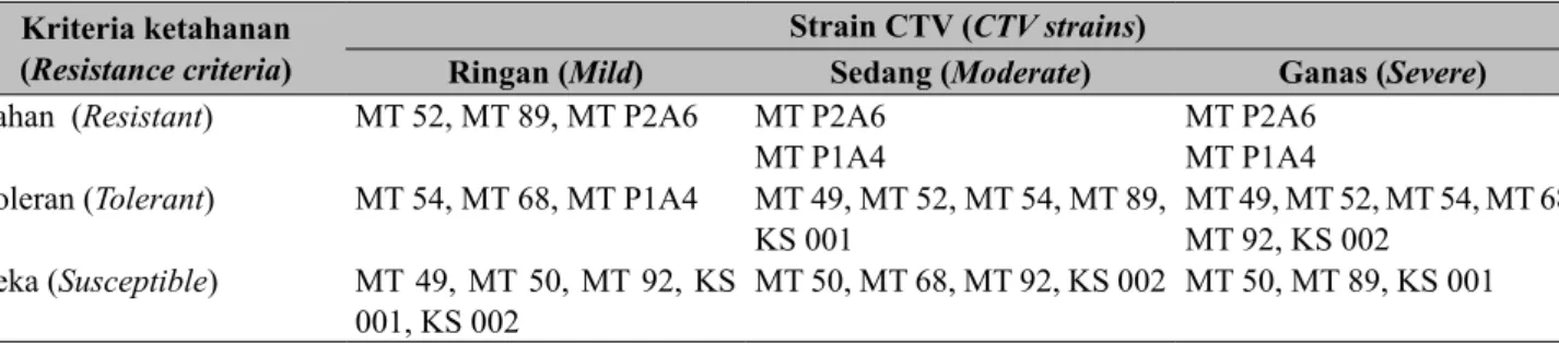 Tabel 5.   Ketahanan kandidat seedless yang diinokulasi dengan tiga strain Citrus tristeza virus (Resistance 