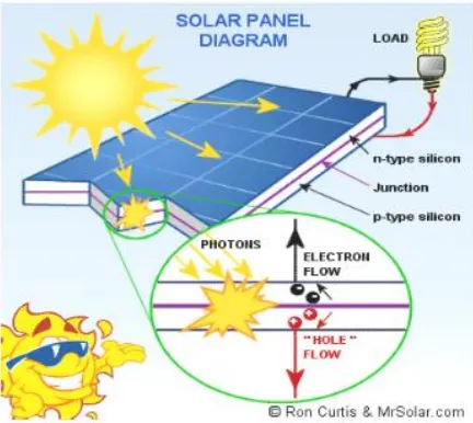 Gambar 2.6. Struktur Solar Cell Silikon p-n Junction. (Sumber : http://solarcell.com.jpg/struktur_solar_cell, diakes tanggal 10 Mei 2016) 