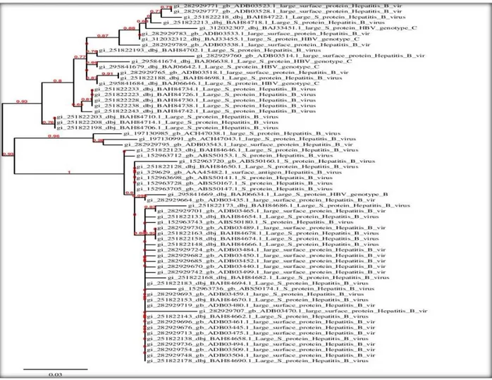 Gambar 2. Pohon kekerabatan 65 complete genome virus hepatitis B Indonesia berbasis protein 