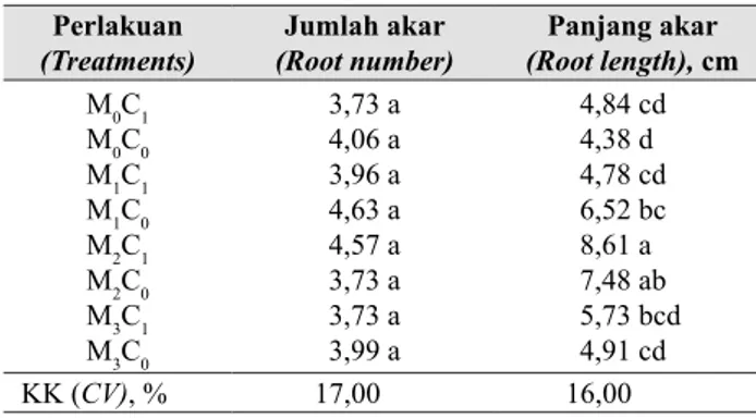Tabel 4.   Jumlah dan panjang akar setelah 4 bulan  penanaman (Root number and root length 
