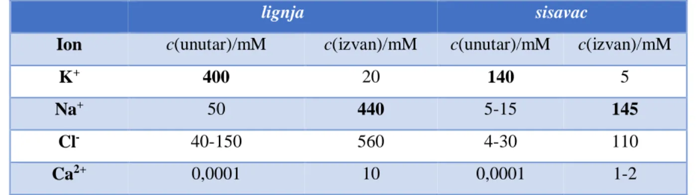 Tablica 1. Koncentracije iona u aksonu lignje i živcu koji inervira mišić sisavaca 