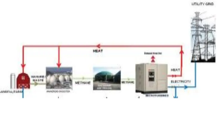 Gambar 4. Sistem Pembangkit Listrik Tenaga Biogas Sumber :Putri, Santoso A dkk, 2013 