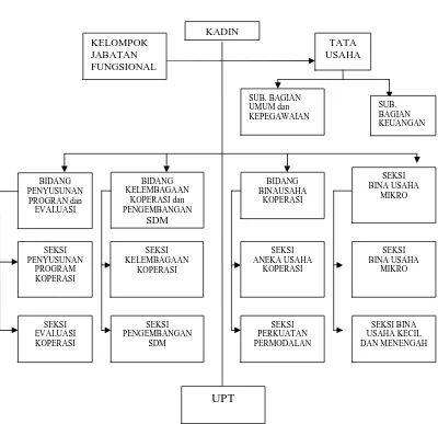 Gambar 2.1 : Struktur Organisasi Dinas Koperasi Kabupaten Jember 