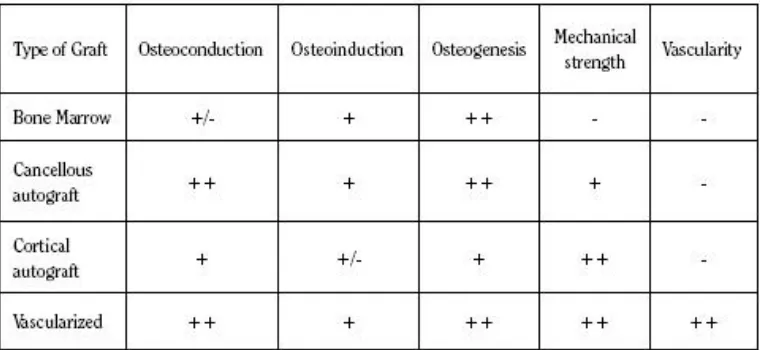 Tabel 2.komponen bonegraft (orthojournalhms.org) 