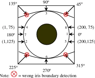 Figure 3.  Iris Outer Boundary Detection